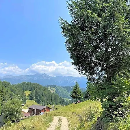 Andolia