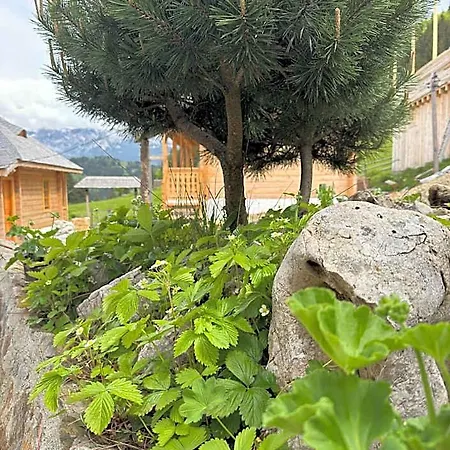 Andolia Otel