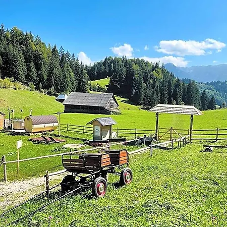 Andolia Otel Braşov