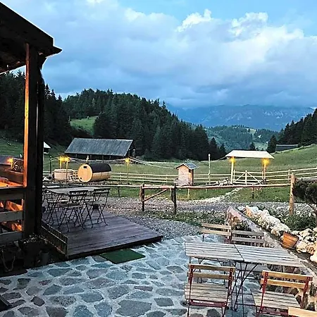 Andolia * Braşov
