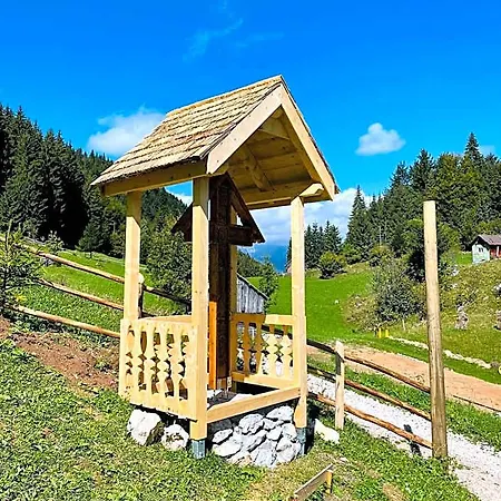 Andolia Braşov